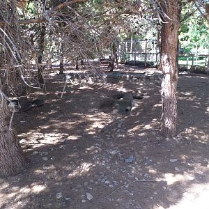 "Safari fotográfico" view -Sendaviva (2020)