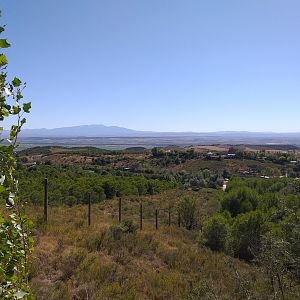 View from "Bosque" -Sendaviva (2020)