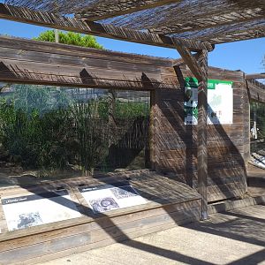 European mink exhibit -Sendaviva (2020)