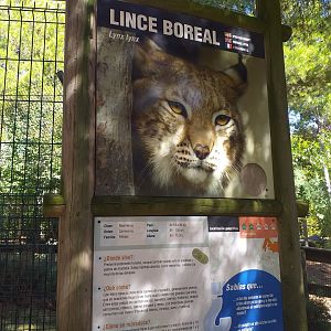 Northern lynx sign -Sendaviva (2020)