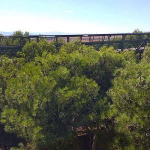 View from the Syrian brown bear exhibit -Sendaviva (2020)