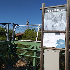 Iberian wolf sign -Sendaviva (2020)