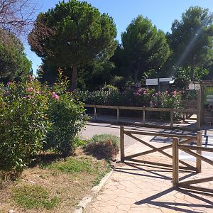 "Bosque" view -Sendaviva (2020)