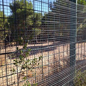 Iberian wolf exhibit -Sendaviva (2020)