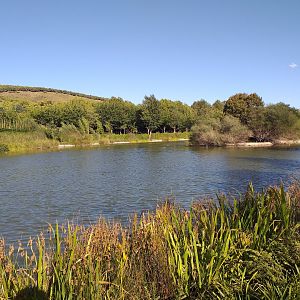 Main lake -Sendaviva (2020)