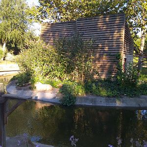 Black-capped capuchin, Capybara and Red-eared slider exhibit -Sendaviva (2020)