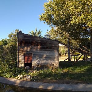 Black-capped capuchin, Capybara and Red-eared slider exhibit -Sendaviva (2020)