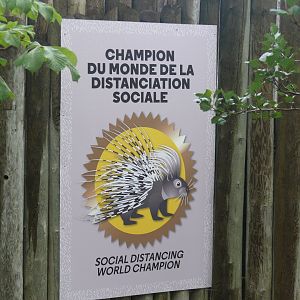 COVID-time at the zoo - 24-08-2020