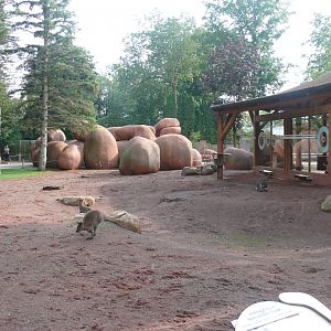 Australia walkabout - 24-08-2020