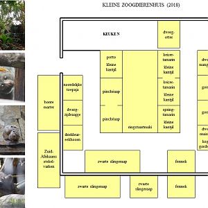 Map Kleine Zoogdierenhuis (2018)