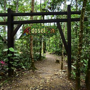 Parque Suruma - entrance to the Dosel (Forest Canopy area)