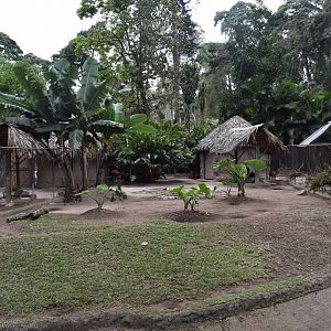 Brocket deer exhibit