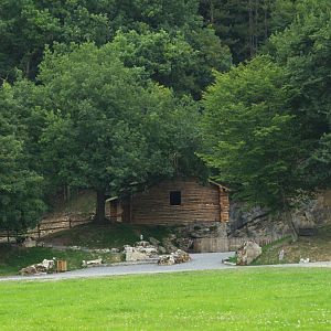 Area around the Eurasian brown bear exhibit, 2008-08-02