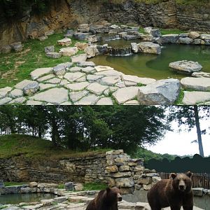 Eurasian brown bear exhibit, 2008-08-02