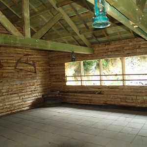 Eurasian brown bear viewing area, 2008-08-02