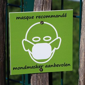 Covid-19 signage - Face mask recommended, 2020-07-12