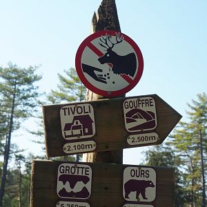 Wildlife park road signs and No feeding signage, 2020-07-12