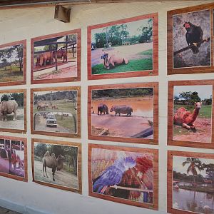 Historical photo wall from the times in which it was still held by Pablo Escobar