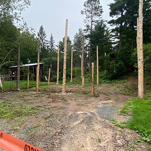 Birds of prey- construction on new bald eagle exhibit
