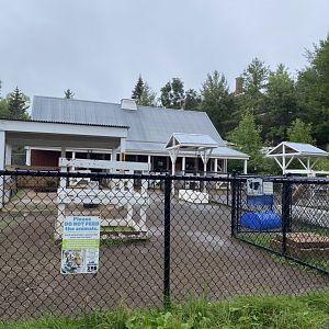 Barnyard- petting coral