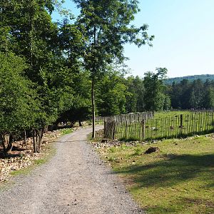 Wildlife park trail near reindeer and wild boar paddocks, 2020-07-12