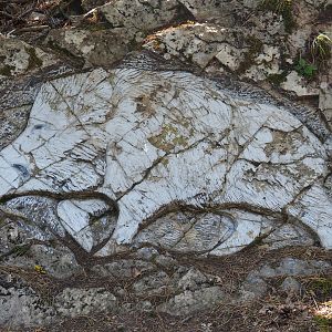 Rock carving wild boar, 2020-07-12