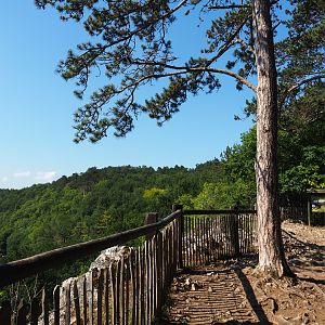 Viewing point over Lesse valley and lower part of the wildlife park, 2020-07-12