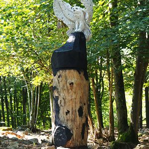 Wood carving Snowy owl, 2020-07-12