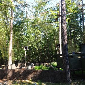 Snowy owl aviary undergoing renovations, 2020-07-12