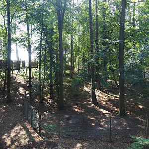 Arctic fox exhibit and Canopy trail, 2020-07-12