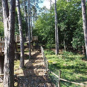 Arctic fox exhibit and Canopy trail, 2020-07-12