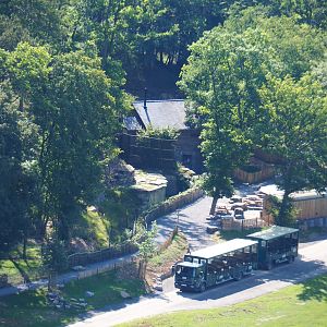 Area around the oldest Eurasian brown bear exhibit, 2020-07-12