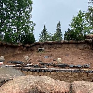 Prairie dog row- black tailed prairie dog exhibit