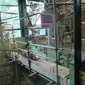 What on earth? Monkey Heights, August 2020