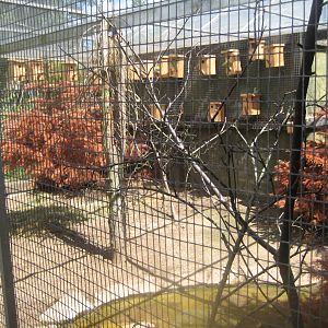 Nordsjællands Fuglepark - Australian aviary