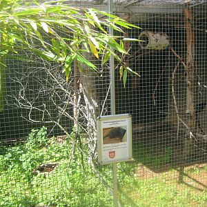 Nordsjællands Fuglepark - Tamarin exhibit