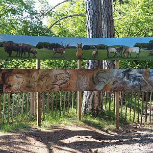 Signage with animal photos and photos of cave paintings, 2020-07-15