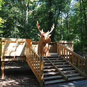 Reindeer viewing area, 2020-07-15