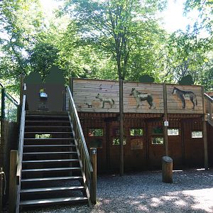 Eurasian grey wolf viewing area, 2020-07-12