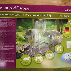 Eurasian grey wolf signage, 2020-07-12
