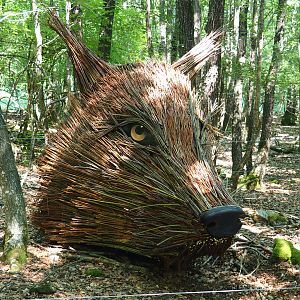 Wicker wolf head artwork, 2020-07-12