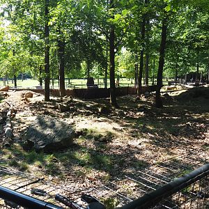 Alpine marmot exhibit, 2020-07-12