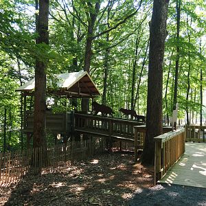 Eurasian grey wolf viewing area, 2020-07-12