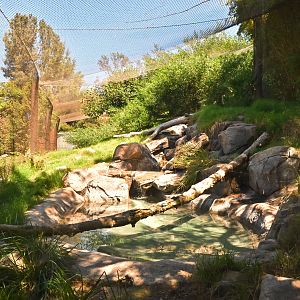 Jaguar exhibit in ROTA