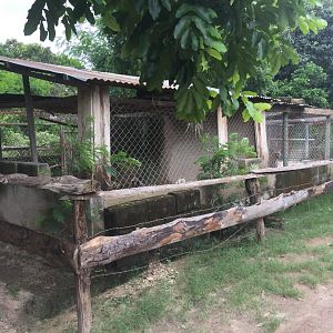 Hyenas enclosures - striped on the left, spotted on the right