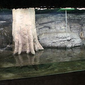 Anaconda exhibit