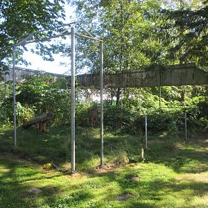 Old Exhibit (Canada Lynx)