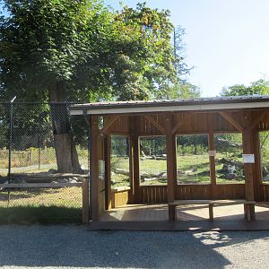 Canada Lynx Exhibit (New in 2019)