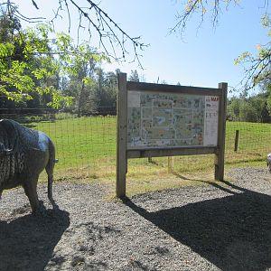 Bison Statues