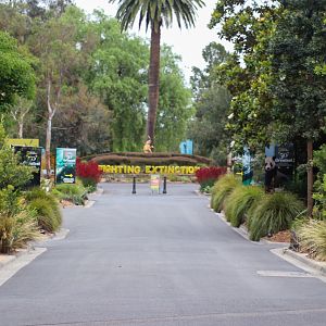 Main Pathway - December 2018